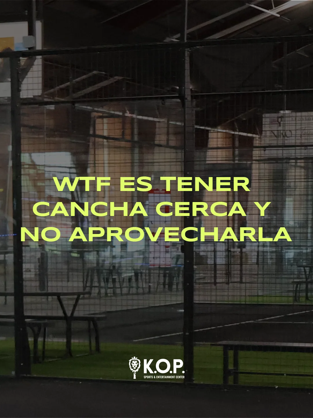 Contenido · 4 / 6